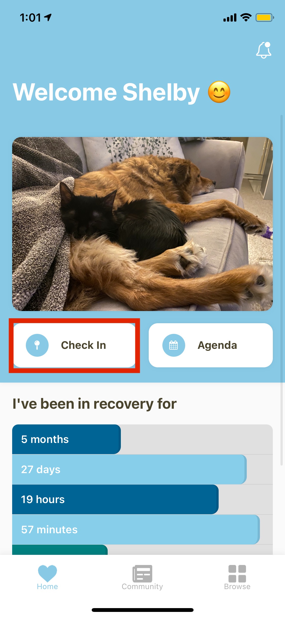Check_In_1.PNG