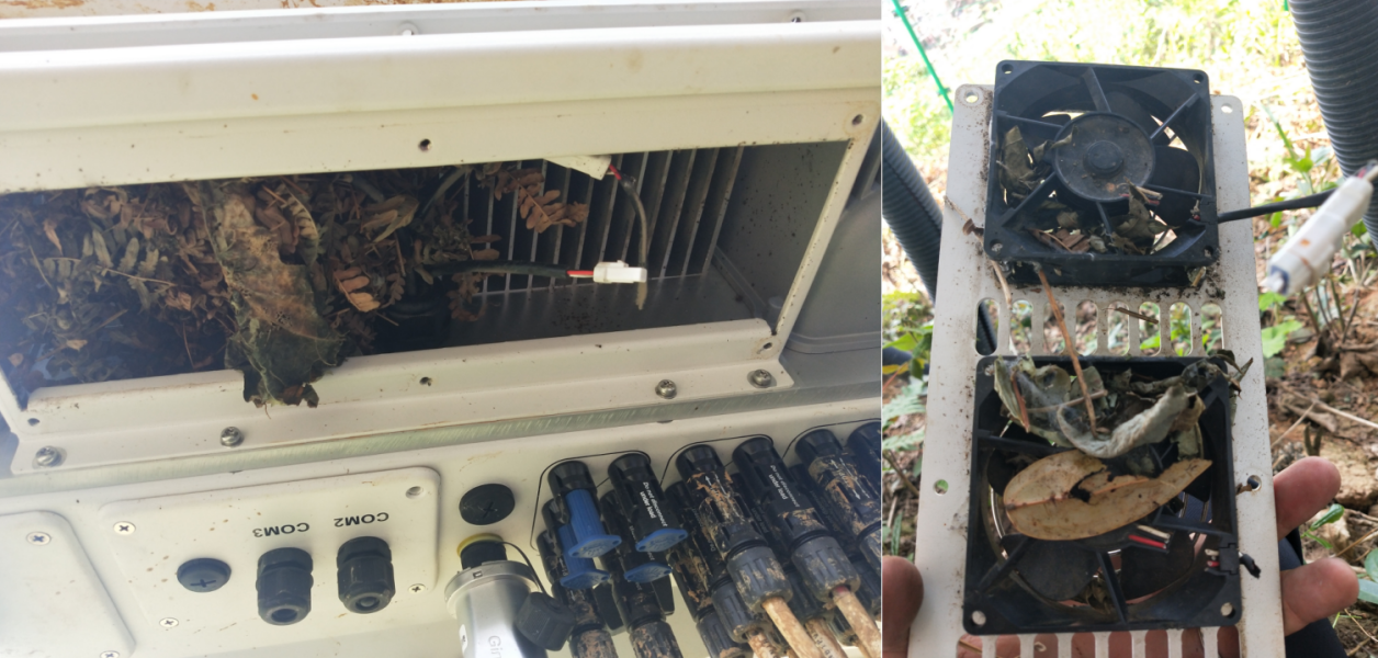 Imagem contendo interior, forno, comida, fogão 
Descrição gerada automaticamente