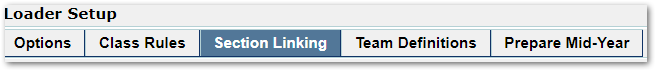 Section Linking tab
