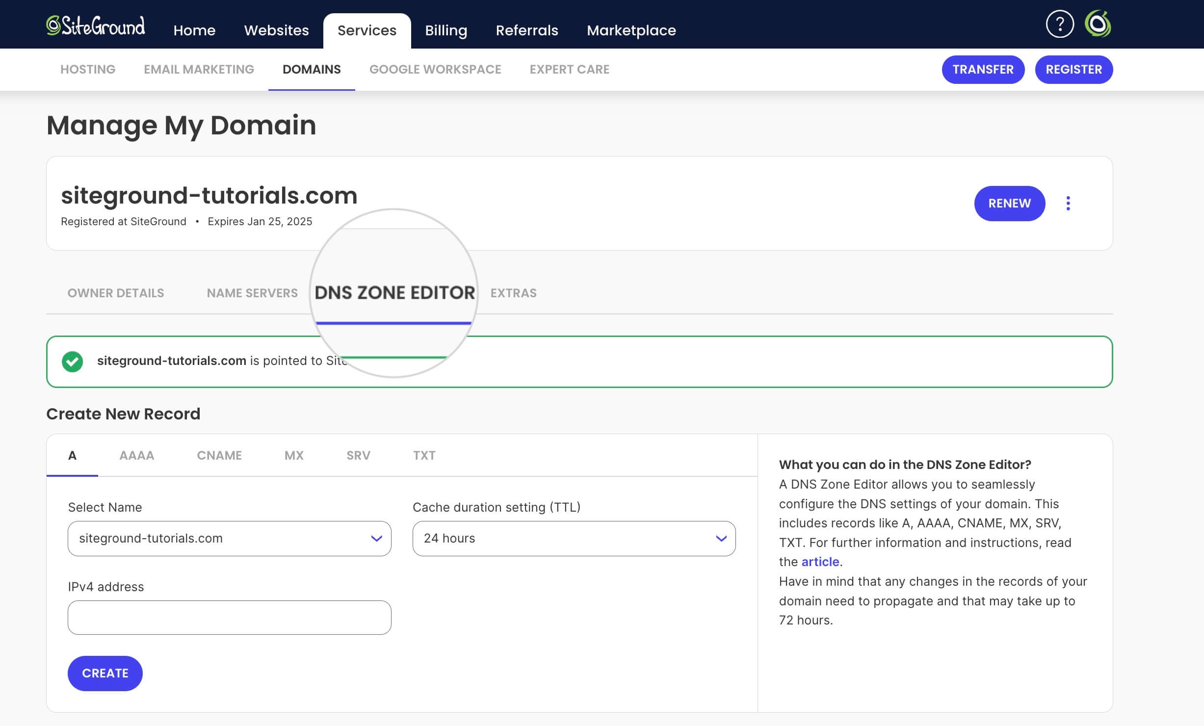 DNS Zone Editor in Domain Settings 