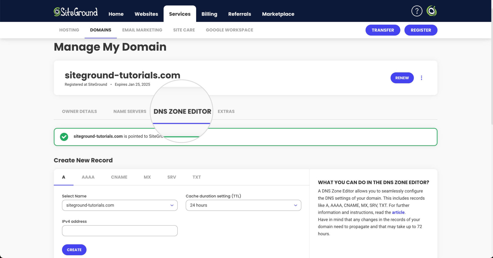 DNS Zone Editor in SiteGround's Client Area