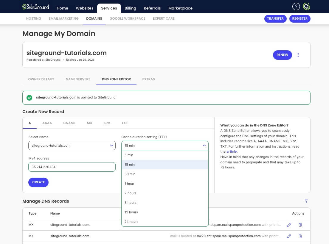 Screenshot showing how to Set a lower TTL value to speed up DNS propagation from DNS Zone Editor
