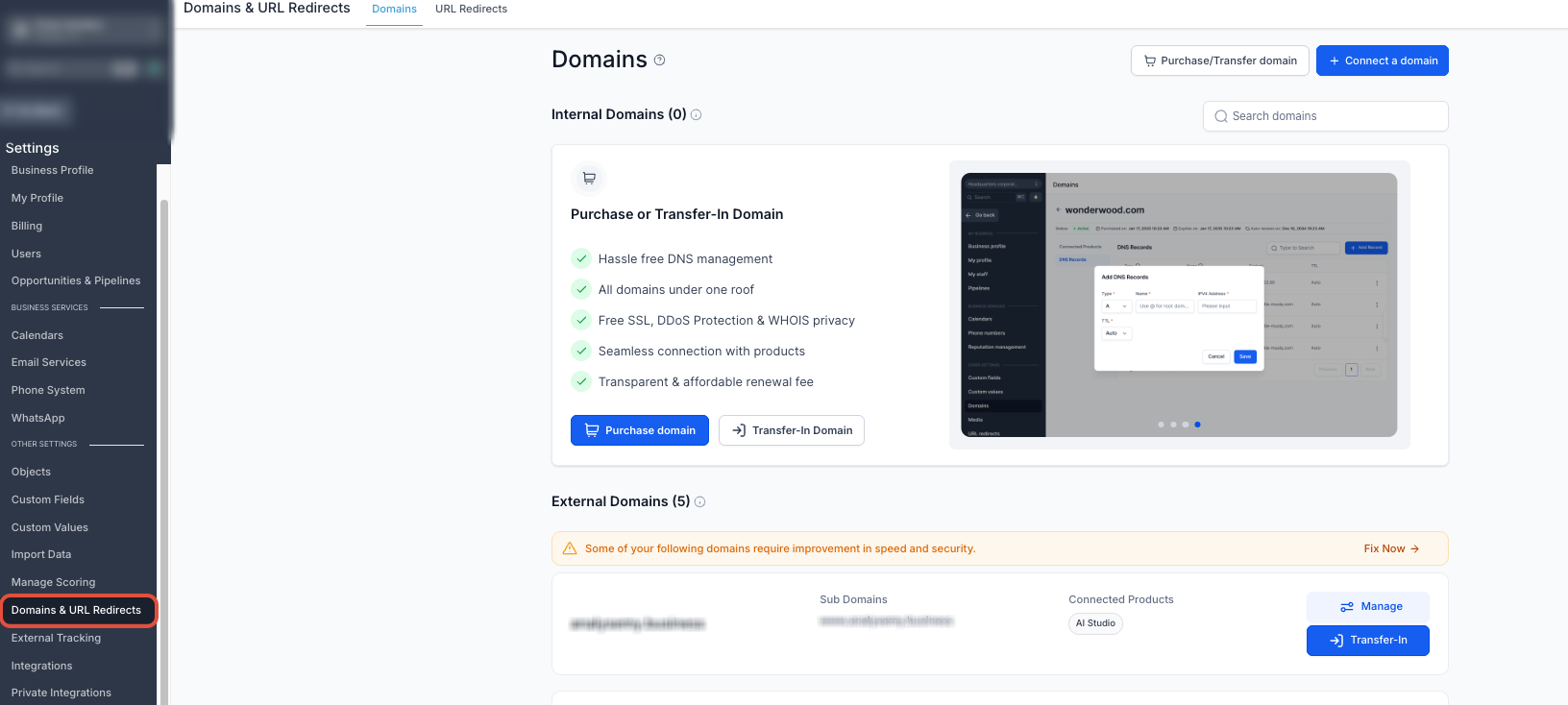 Domain connection screen showing the Domain URL field and connection options