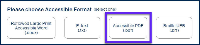 The Accessible PDF option is highlighted.