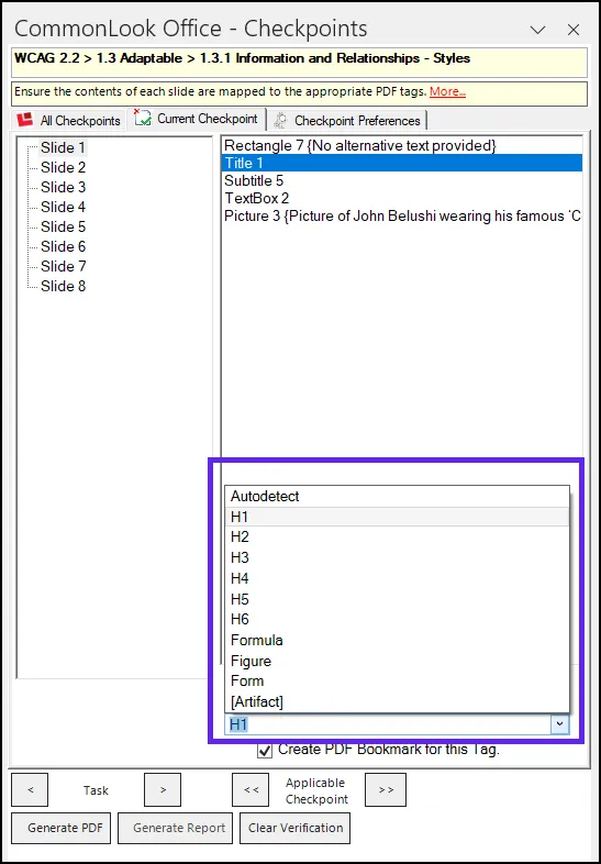 Screenshot of the CommonLook panel in the Styles checkpoint. The menu is expanded to change the tag type and to reveal the tags options.
