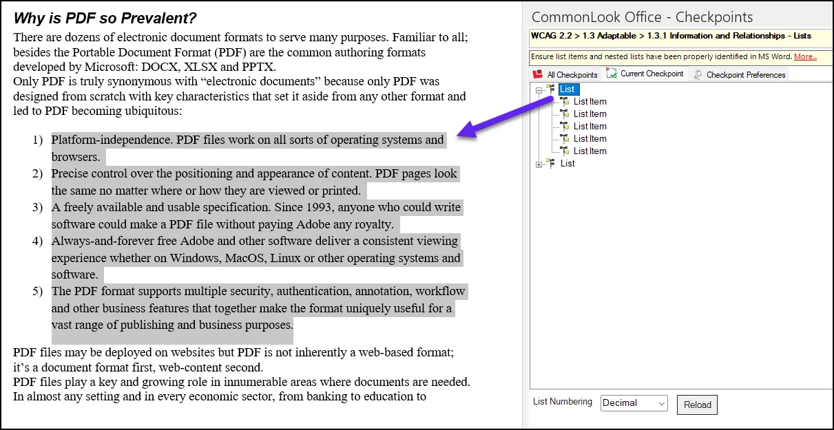 Screenshot of the list checkpoint in CommonLook Office. The first list is expanded to show all of the List Items inside.