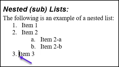 Screenshot showing where to place the curser, in front of “Item” in list item 3.