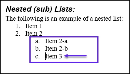 Screenshot showing Item 3 listed underneath and as a sibling to Item 2-b.