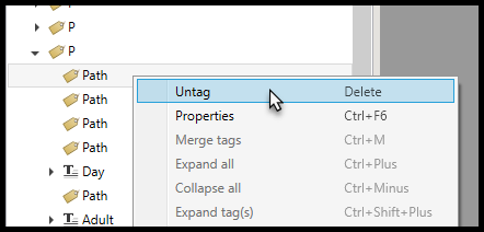 Screenshot showing the context menu of a Path open with "Untag" selected.