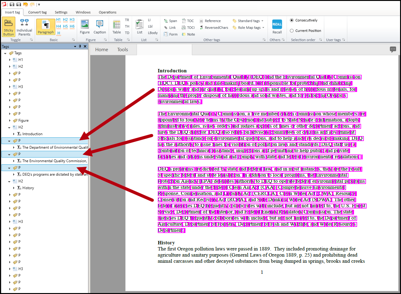 The paragraphs tagged as described in this list item.  