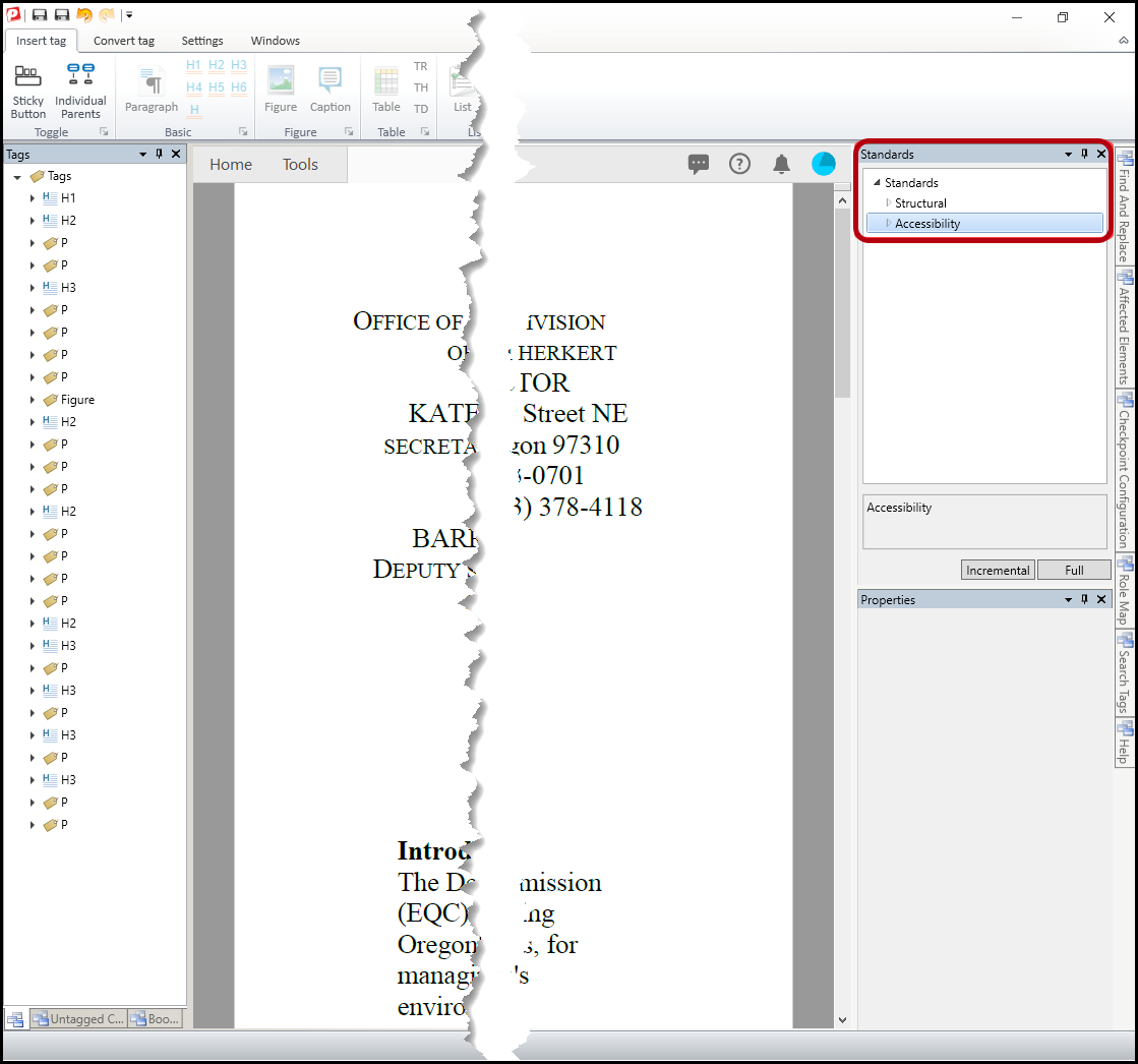 The Standards panel is identified in the CommonLook interface.  