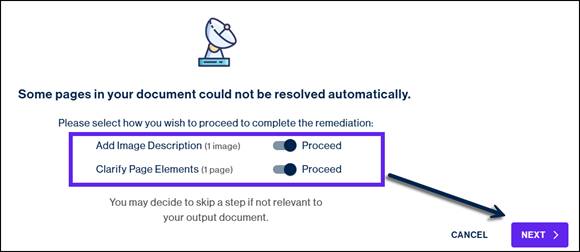 The sliders for "Add image description" and "Clarify page elements" are shown in the "on" position.  The "Next" button is highlighted. 