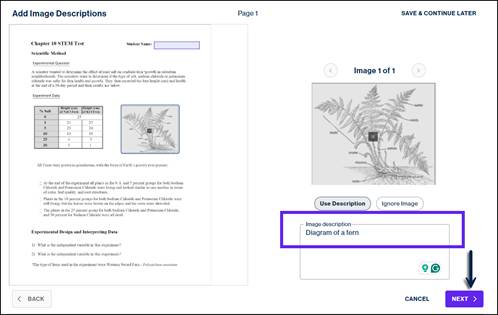 Add Image Description Screen Open, with Diagram of a fern typed into the image description textbox for the image and the Next button highlighted.