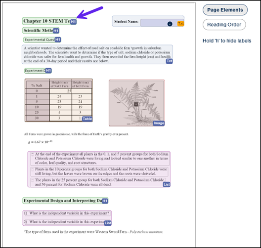 The Page Elements screen of the demo document showing the H1 container.