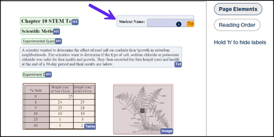 The Page Elements screen of the demo document showing the text container holding Student Name and a form field.