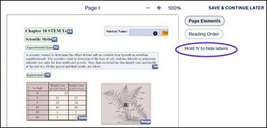 "Hold "H" to hide labels" displayed on the CL Online Page elements screen interface.  