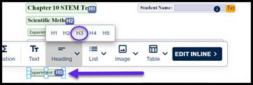 The container for Experiment data is displayed, with the Headings dropdown menu open in the toolbar and H2 circled.  