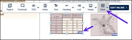 The table indicated by arrow, with the table dropdown button selected in the toolbar.  