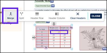 the two column and one row highlighted data cell is highlighted with the Merge button in the table toolbar selected.  