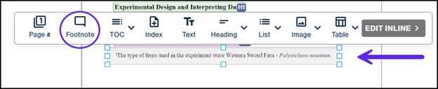  The unlabeled container under the List displayed with the Footnote  button in the toolbar selected.  