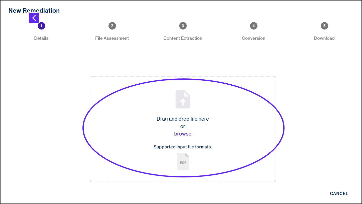 The "New Remediations" screen.  The steps in the overall process are highlighted, at the top, and the area to upload your file is highlighted below the steps. There is also a button to be able to browse for a file to remediate. 