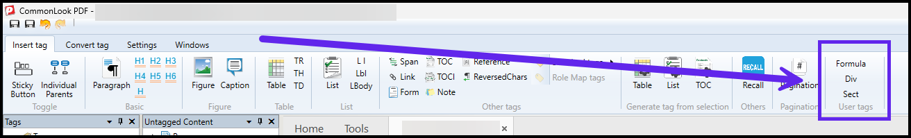 The User Tags group is highlighted in the desktop version of CommonLook PDF. 