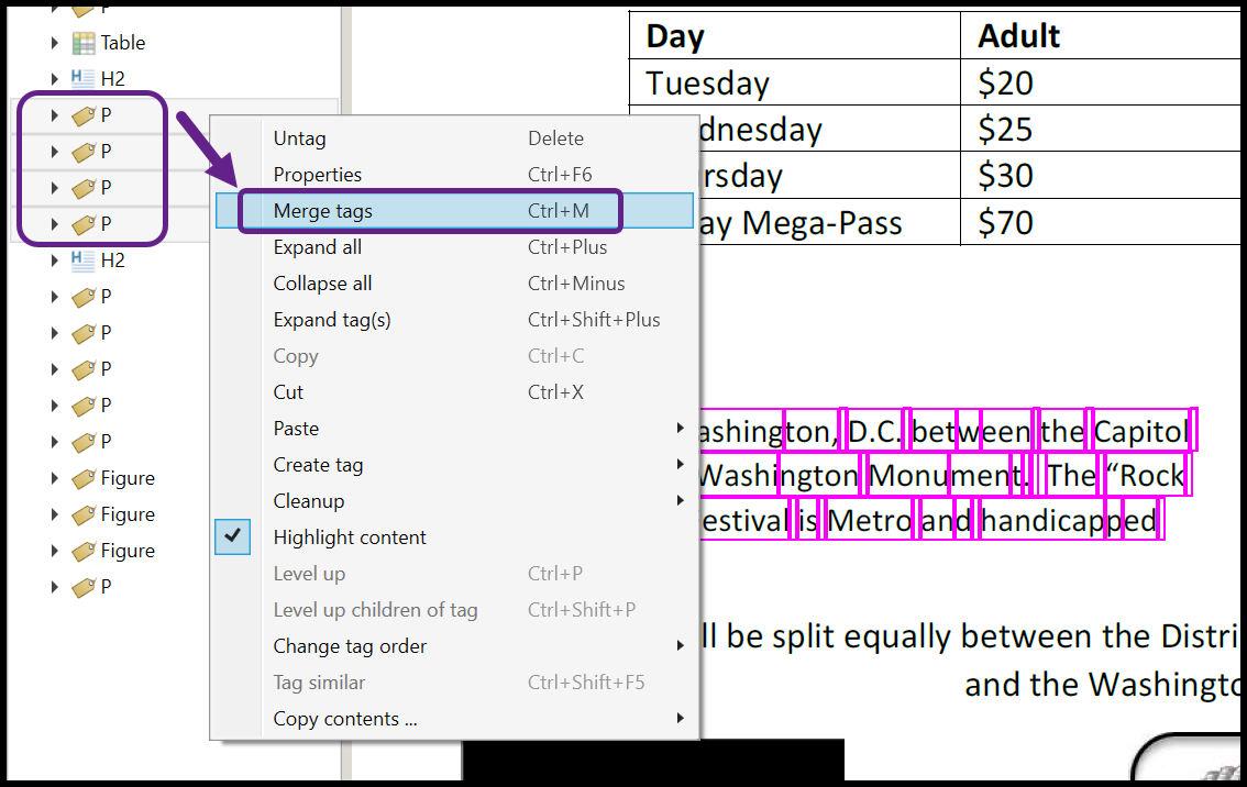 Screenshot showing all four relevant Paragraphs selected and the Merge Tags command selected.