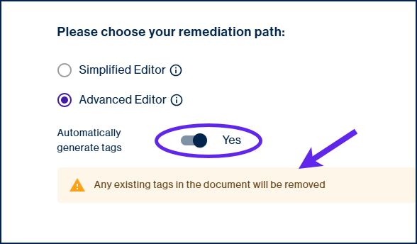 Screenshot of advanced editor radio button selected and the ASutomatically generate tags toggle set to yes, with the warning, "Any existing tags in the document will be removed," displayed. 