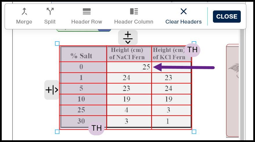 Table showing one cell incorrectly identified as two, with a vertical red line running through it, splitting it in half. 