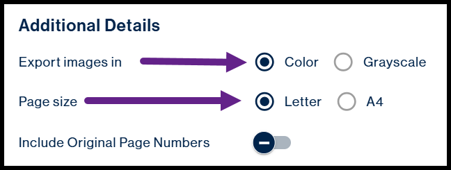 The Additional Details options for Large Print Word output. "Color" and "Letter" are highlighted.