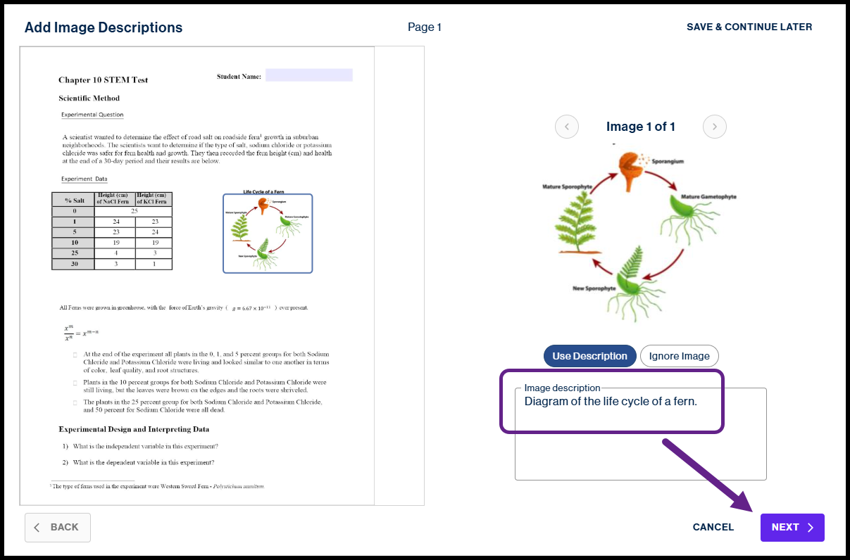 The "Add Image Descriptions" interface showing a fern life cycle diagram with a text box containing the description "Diagram of the life cycle of a fern" and a purple arrow pointing to the "Next" button.