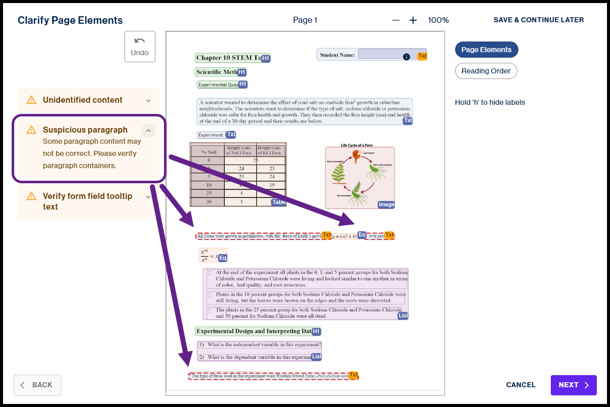 The "Clarify Page Elements" screen highlighting "Suspicious paragraph" warnings with purple arrows pointing to specific text boxes on the document page that require verification.