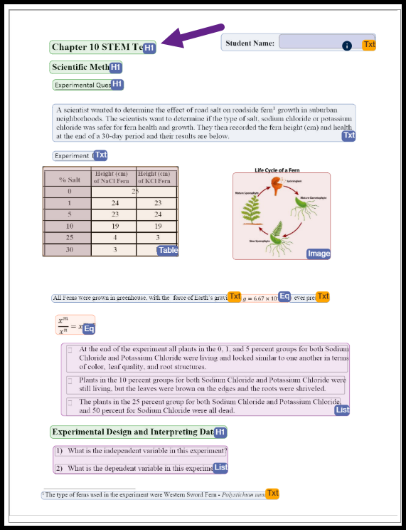 The document editor interface displays a tagged scientific worksheet, with a purple arrow pointing to the "Chapter 10 STEM Test" heading labeled with an "H1" tag.