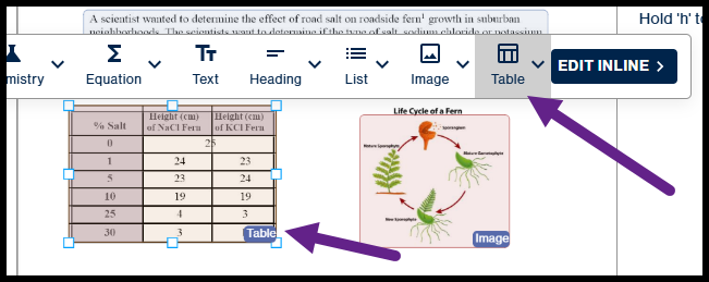 The table indicated by arrow, with the table dropdown button selected in the toolbar.  