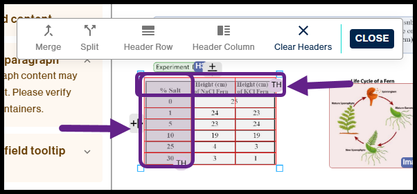 The table with highlighted and displayed row headers and column header. 