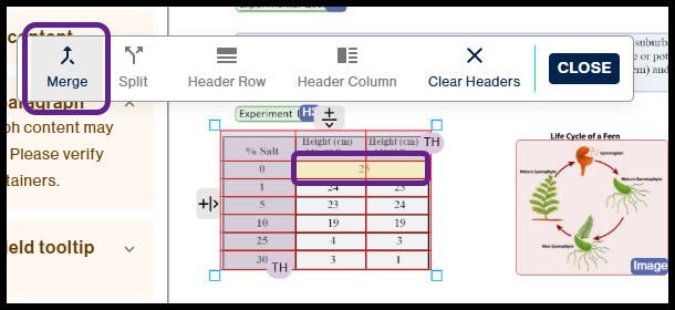the two column and one row highlighted data cell is highlighted with the Merge button in the table toolbar selected.  