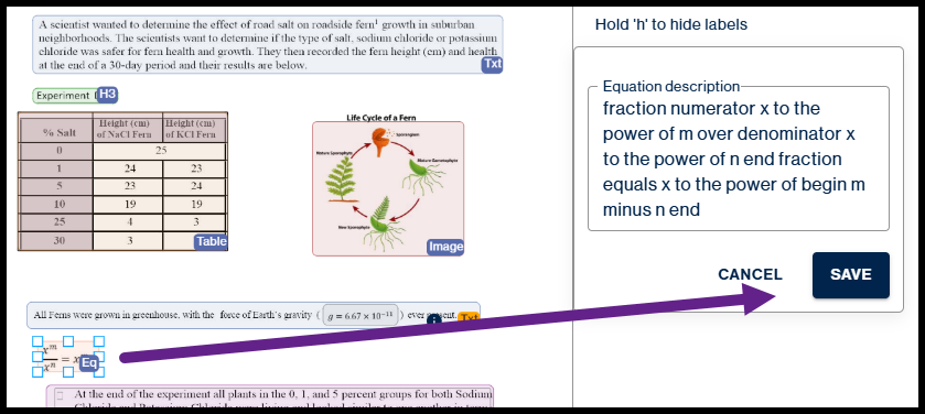 Another equation on the page is selected and tagged as an Equation (Eq), with a purple arrow pointing to the Save button to confirm its mathematical description.