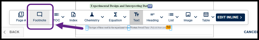  The unlabeled container under the List displayed with the Footnote  button in the toolbar selected.  