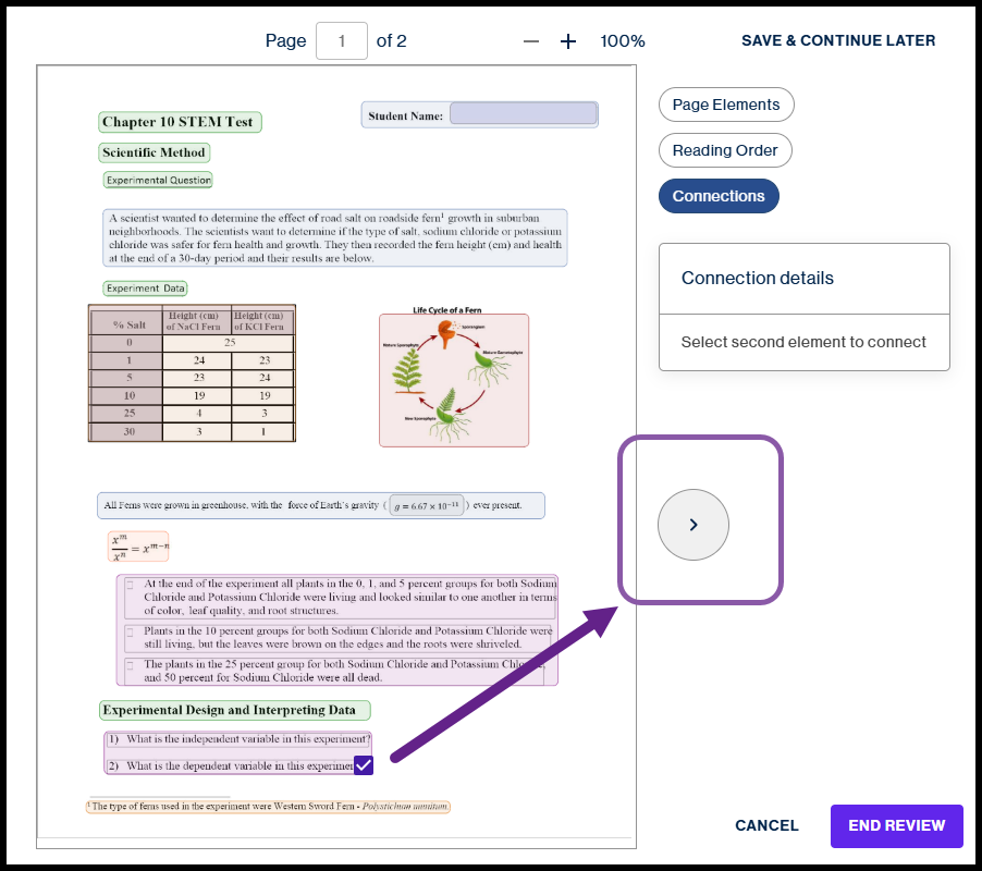 The interface transitions to a Connections view, as indicated by the new button selected in the right-hand sidebar. A purple arrow points to a circular Next Page button ($>$) on the right side of the document, which allows you to move to the second page of the file to continue the remediation process.
