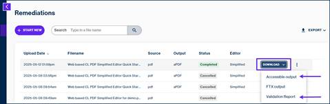 The remediations screen with the download drop down expanded, showing the options for accessible PDF Output and Validation report.  next to the file we remediated.  