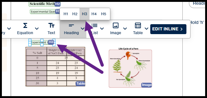 The container for Experiment data is displayed, with the Headings dropdown menu open in the toolbar and H2 circled.  
