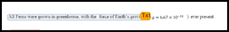 A line of text in the editor contains a math equation $g = 6.67 \times 10^{-11}$ that is currently partially labeled as a standard text ("Txt") element.