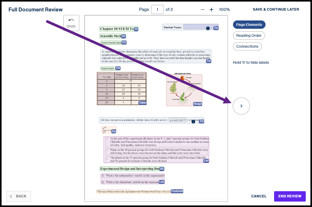 A screenshot of a digital document review interface shows a page about a fern growth experiment with various accessibility labels applied and a purple arrow pointing toward a "next page" button.