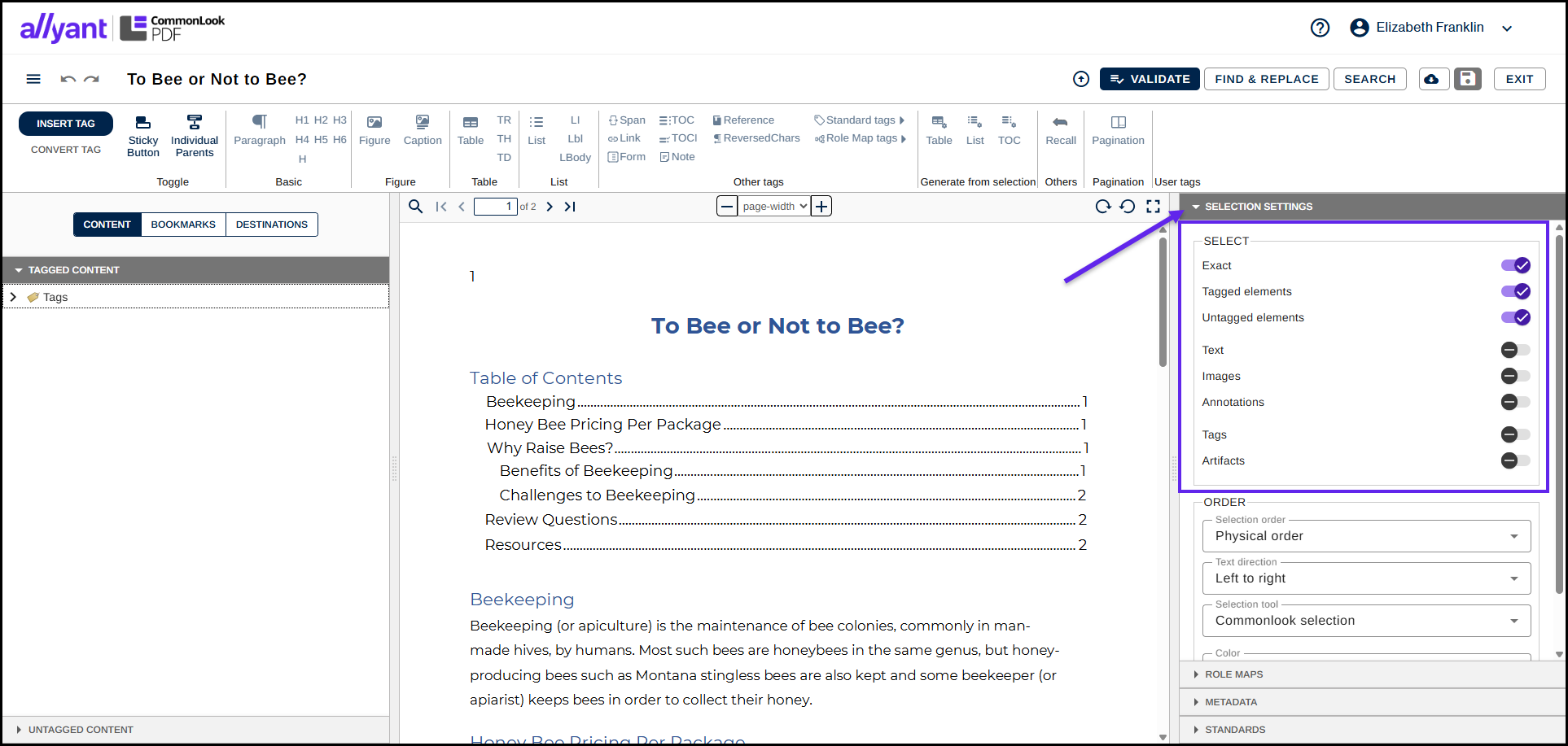 A screenshot of the Advanced Editor interface with the selection settings panel opened on the right side of the screen and the selection group is showing.