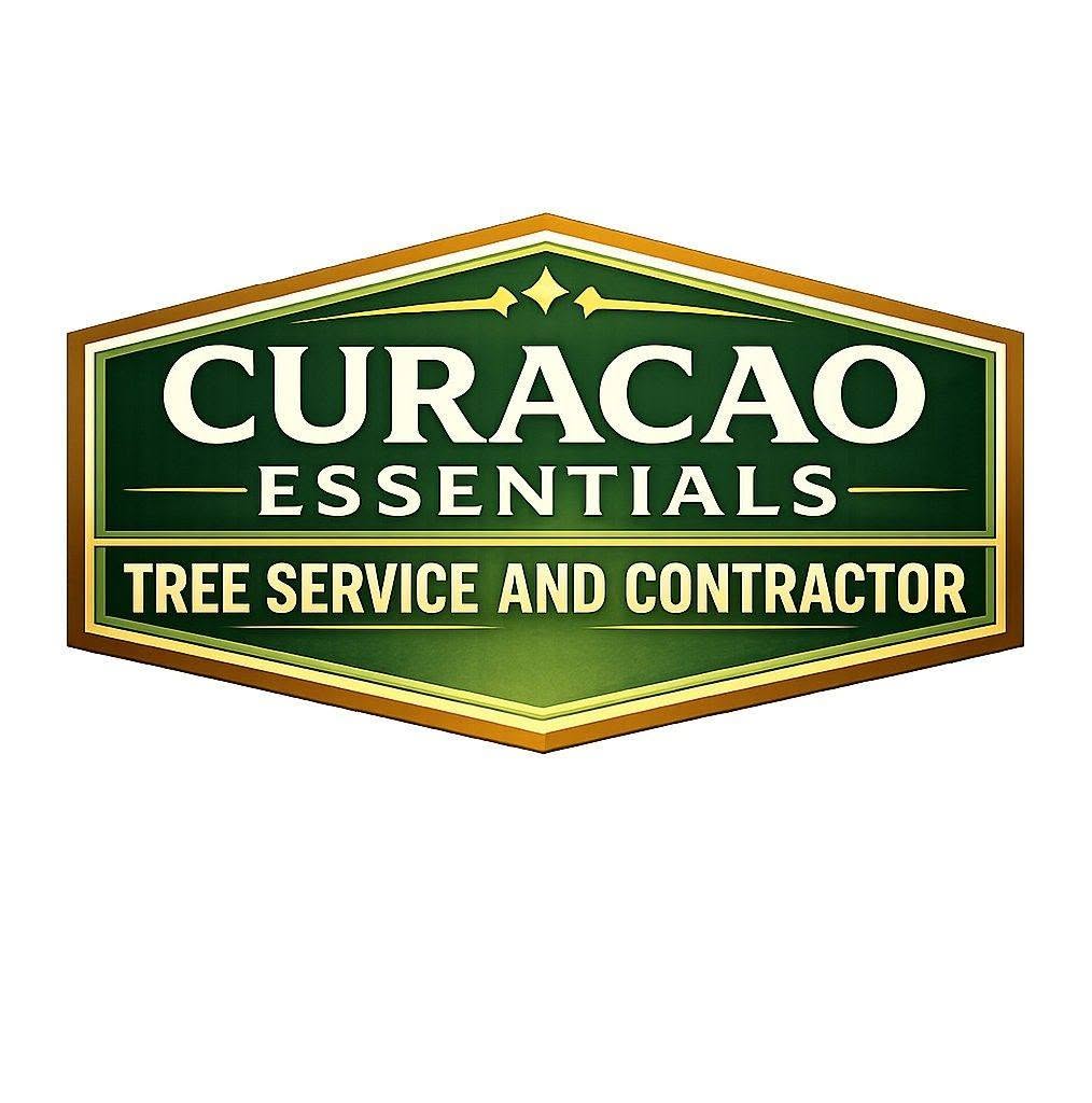 Curaçao Essentials