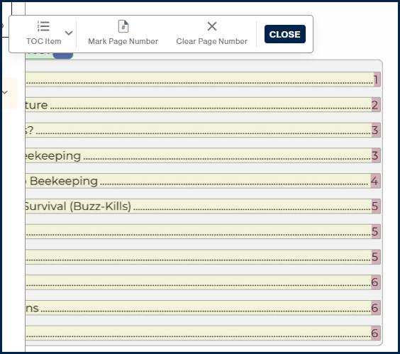 A TOC has been selected in the page view and the child toolbar is open. On the right side of the page, the page numbers are highlighted.