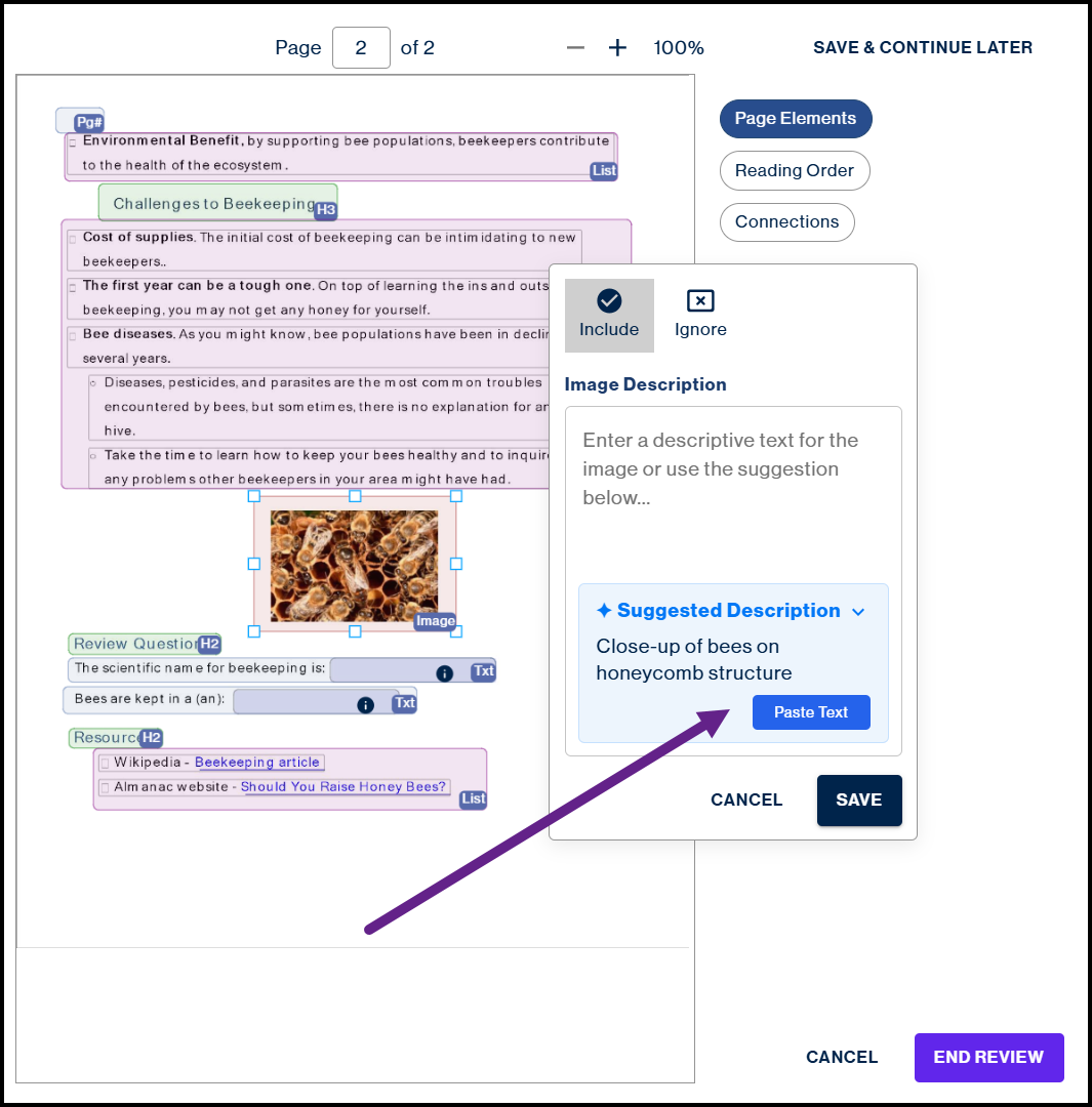 Auto-generated Alt-text being pasted into the Image Description Field.