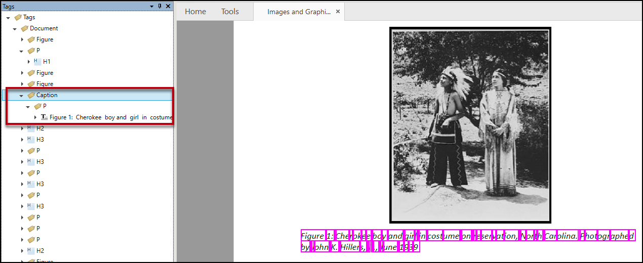 Screenshot showing the Tags tree with a properly tagged caption as described in the preceding paragraph.