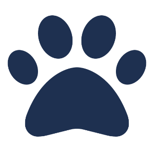 Pet Care & Services