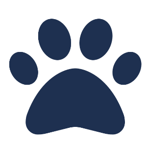 Pet Care & Services